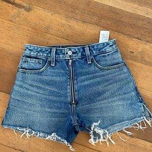 High Rise Denim Shorts